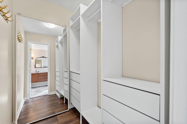 walk in closet with dark wood-type flooring and sink