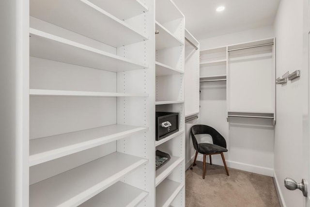 spacious closet with light colored carpet