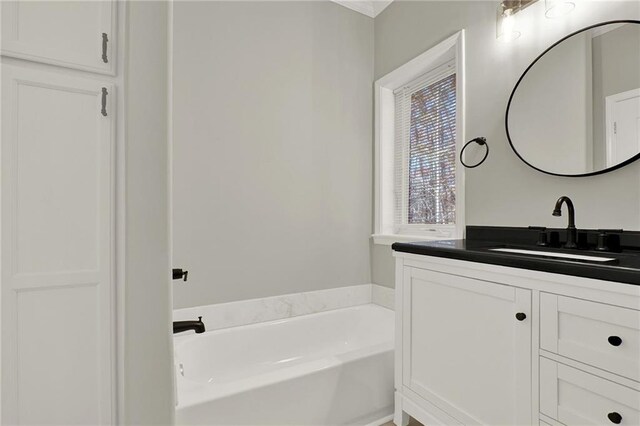 bathroom featuring vanity and a bathing tub