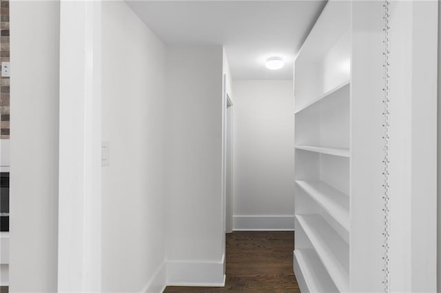 walk in closet featuring dark wood-type flooring