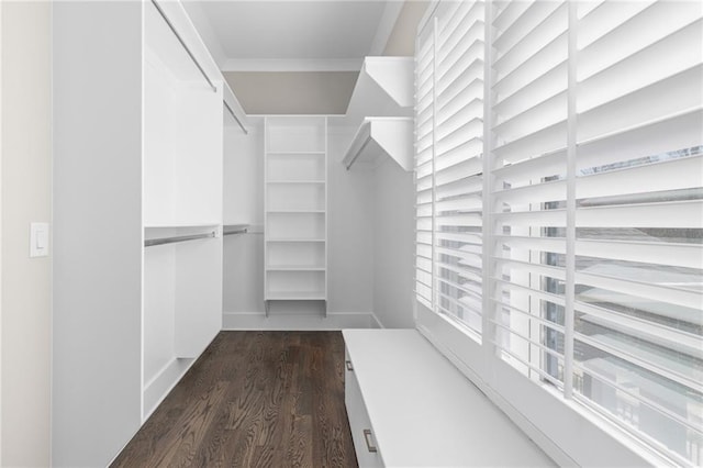 spacious closet featuring dark wood-style flooring