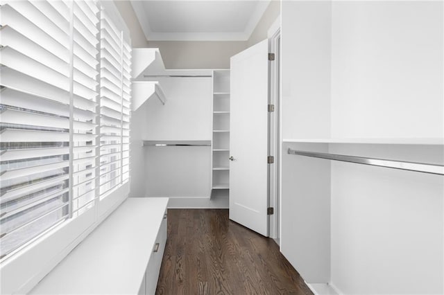 walk in closet with dark wood-style floors