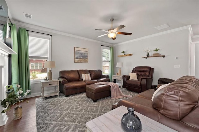 living room featuring a wealth of natural light, dark hardwood / wood-style floors, and ornamental molding