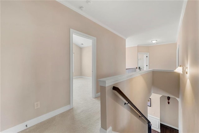 hallway featuring ornamental molding and carpet