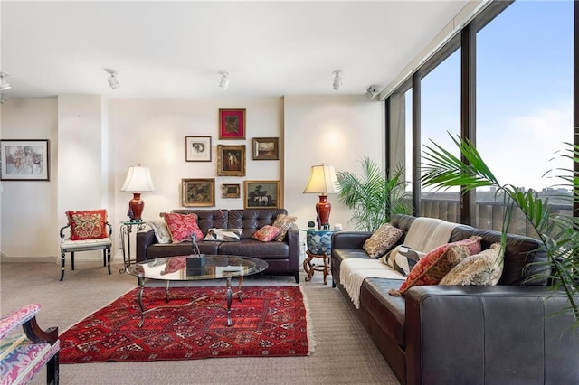 view of carpeted living area