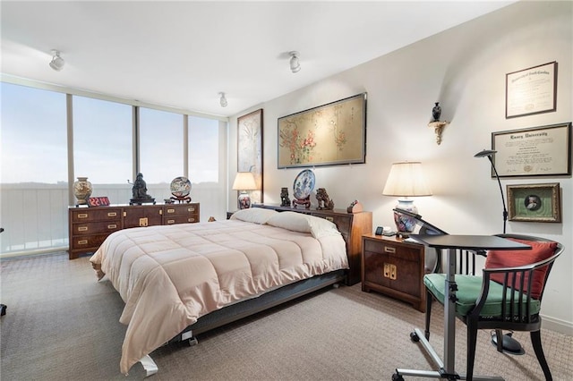 bedroom featuring carpet floors
