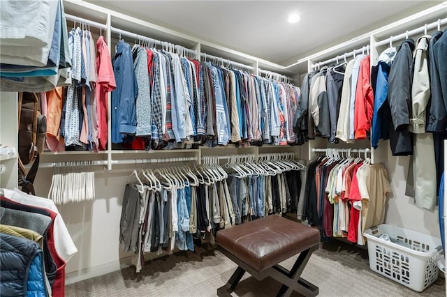 spacious closet featuring carpet floors