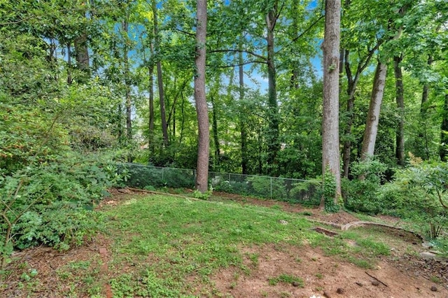 1618 Mason Mill Rd NE, Atlanta, GA 30329 - view of yard