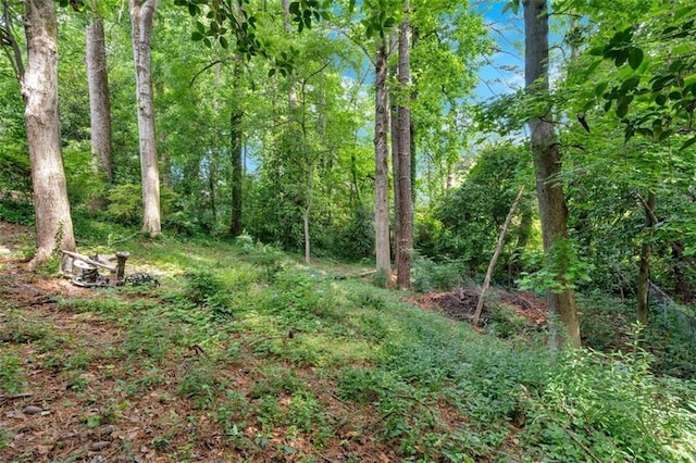 1618 Mason Mill Rd NE, Atlanta, GA 30329 - view of nature