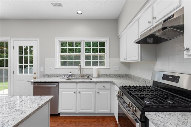 7000 Foxberry Ln, Roswell, GA 30075 - kitchen with stainless steel appliances, under cabinet range hood, plenty of natural light, and recessed lighting