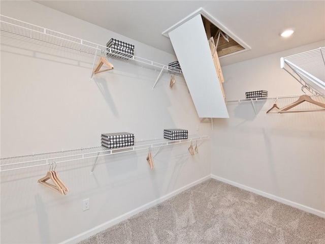 walk in closet with carpet