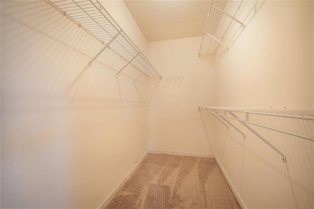 spacious closet featuring light carpet