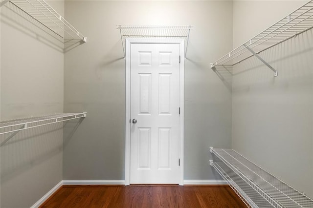 spacious closet featuring wood finished floors