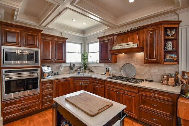 kitchen featuring appliances with stainless steel finishes, light wood finished floors, open shelves, light countertops, and a sink