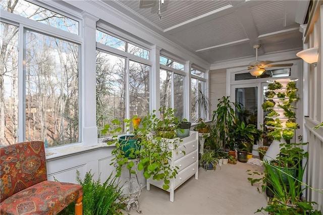 sunroom / solarium with ceiling fan and coffered ceiling