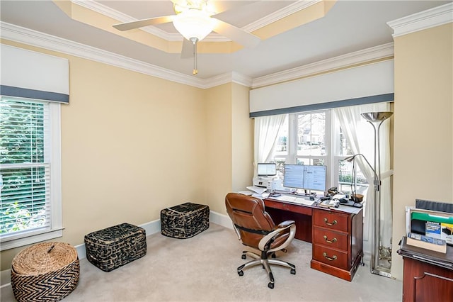 office featuring light carpet, crown molding, a tray ceiling, and a wealth of natural light