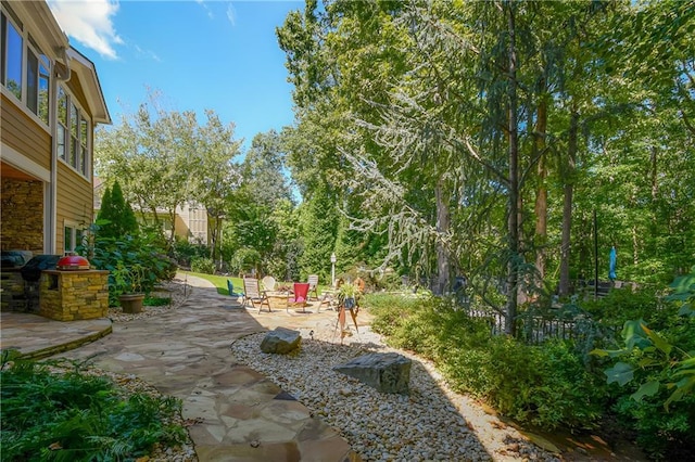 view of yard with a patio