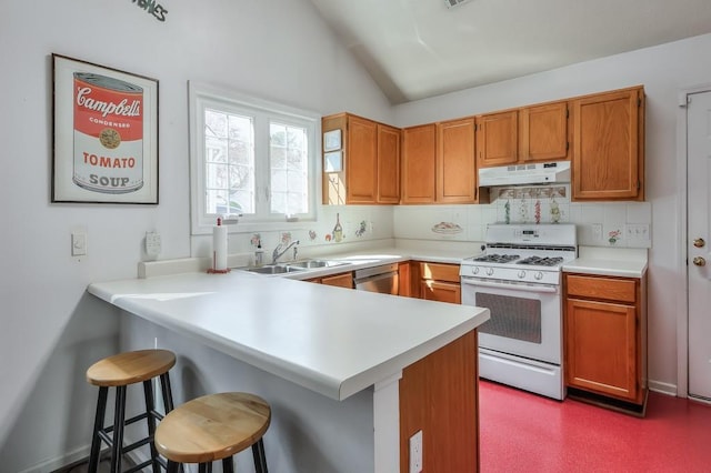 kitchen featuring a peninsula, white gas stove, a sink, under cabinet range hood, and stainless steel dishwasher