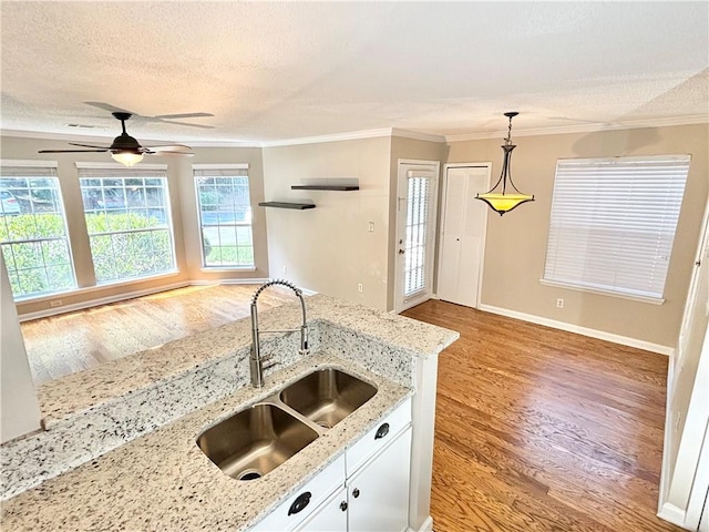 kitchen with a ceiling fan, ornamental molding, a sink, light wood-style floors, and a textured ceiling