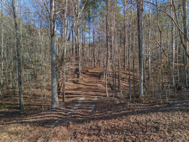 Listing photo 2 for 0 Ponderosa Trl, Dallas GA 30132