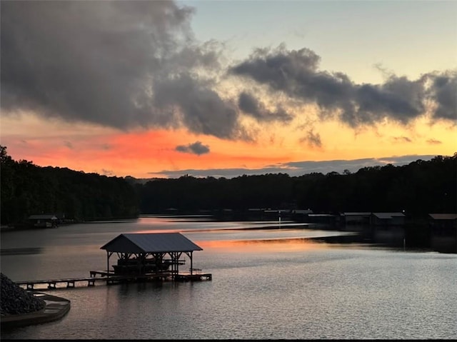 water view with a view of trees and a boat dock