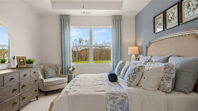 bedroom with light carpet and a tray ceiling