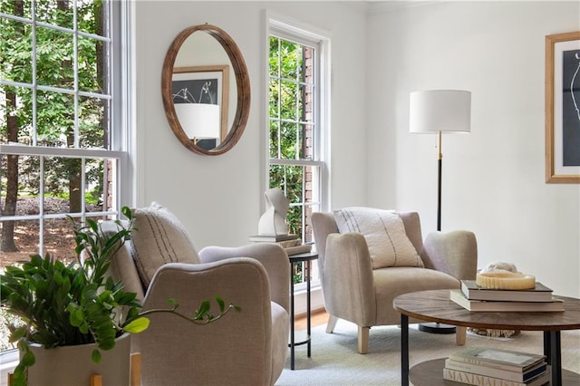 6960 Hunters Branch Dr, Atlanta, GA 30328 - sitting room with light carpet and ornamental molding