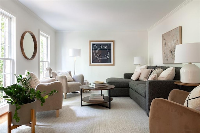 6960 Hunters Branch Dr, Atlanta, GA 30328 - living room featuring ornamental molding and light carpet