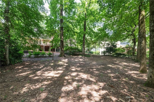 6960 Hunters Branch Dr, Atlanta, GA 30328 - view of yard