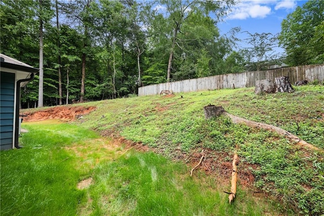 3208 Navajo Cir, Gainesville, GA 30501 - view of yard
