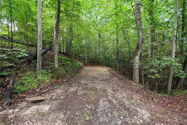 3208 Navajo Cir, Gainesville, GA 30501 - view of street featuring a wooded view