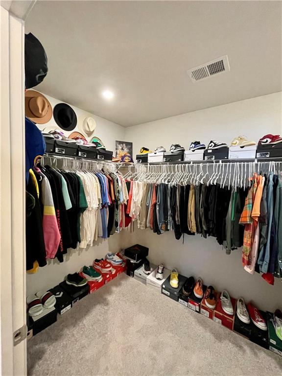 spacious closet with carpet