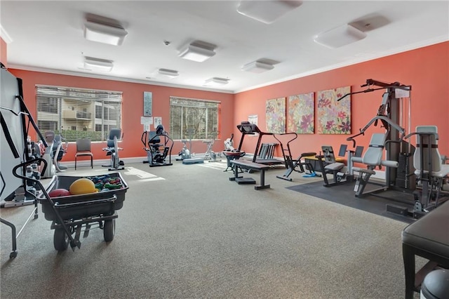 workout area featuring crown molding and carpet