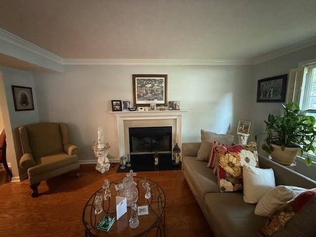 3545 Manchester Dr, Lawrenceville, GA 30044 - living room featuring crown molding, wood finished floors, and a fireplace with flush hearth