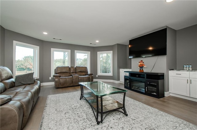 living room with a glass covered fireplace, a healthy amount of sunlight, light wood-style flooring, and baseboards