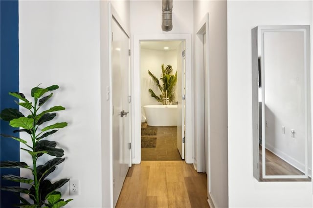 corridor with light wood-type flooring