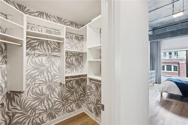 walk in closet featuring hardwood / wood-style floors