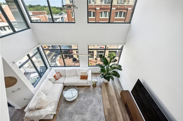 living room featuring a towering ceiling and hardwood / wood-style floors