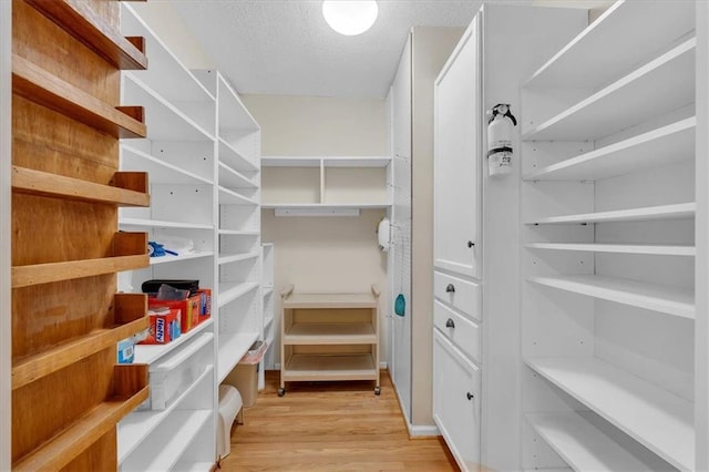 3122 Harmony Rd, Temple, GA 30179 - walk in closet with light wood finished floors