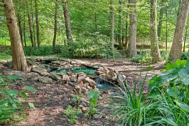 3122 Harmony Rd, Temple, GA 30179 - view of wooded area