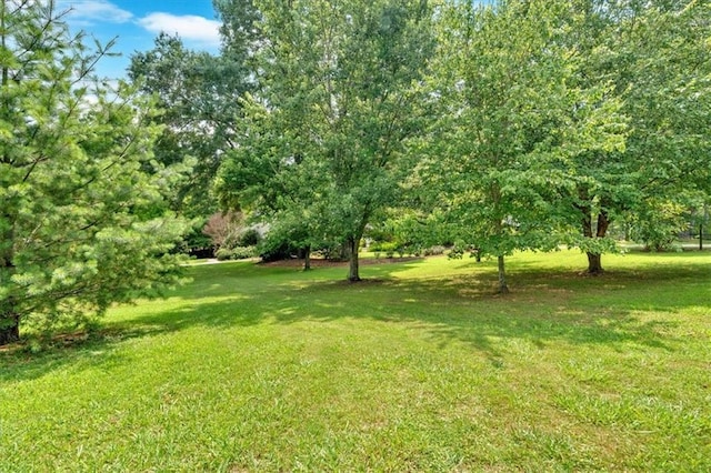 3122 Harmony Rd, Temple, GA 30179 - view of green lawn