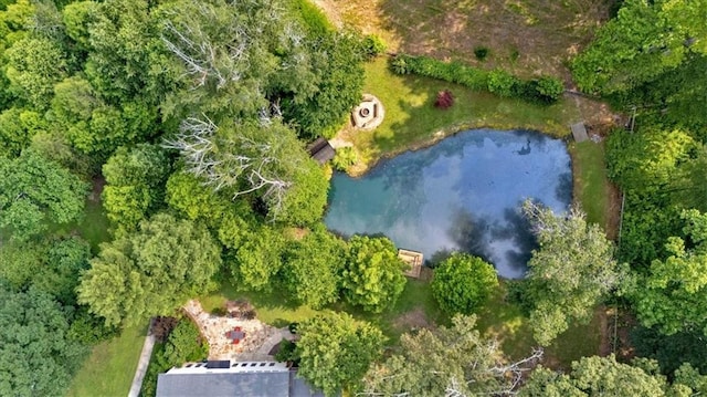 3122 Harmony Rd, Temple, GA 30179 - drone / aerial view of a large body of water