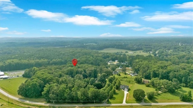 3122 Harmony Rd, Temple, GA 30179 - drone / aerial view of a forest