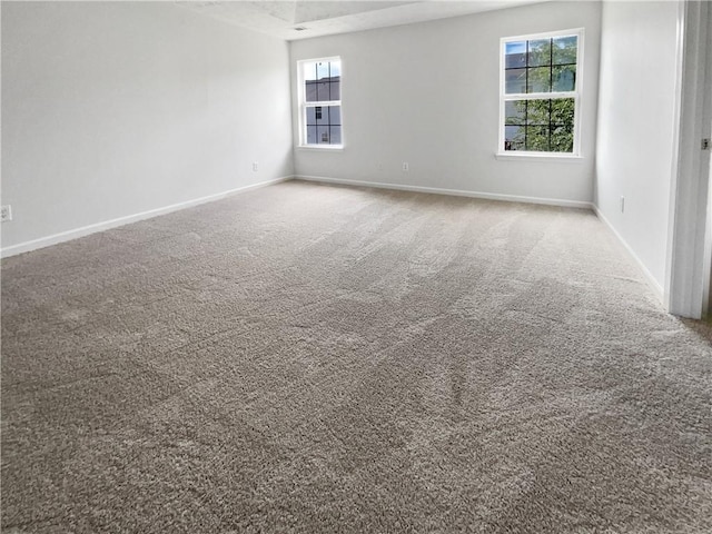 spare room featuring carpet floors