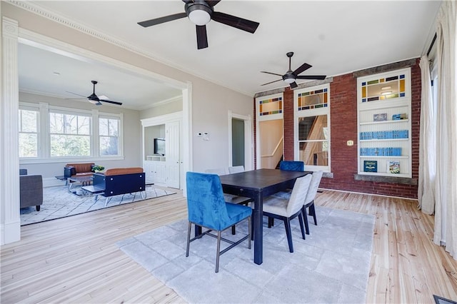 dining space featuring light wood-style flooring, crown molding, and ceiling fan