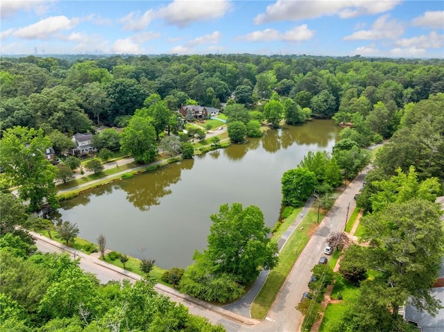 1138 Berkeley Rd, Avondale Estates, GA 30002 - aerial view of a large body of water and a heavily wooded area
