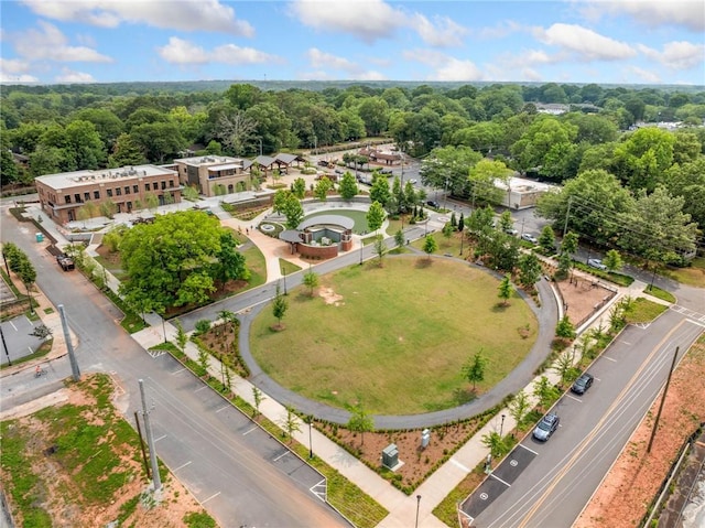 1138 Berkeley Rd, Avondale Estates, GA 30002 - aerial view of a forest