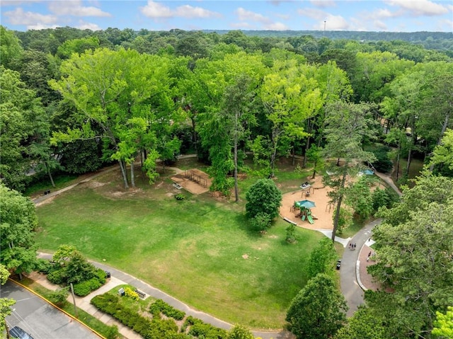 1138 Berkeley Rd, Avondale Estates, GA 30002 - bird's eye view of a forest
