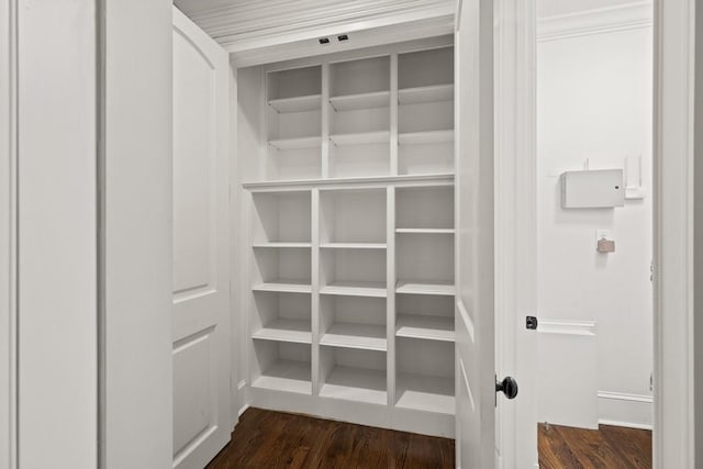 view of closet