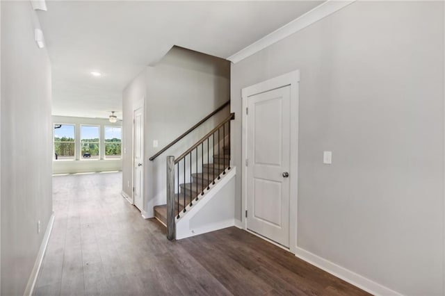 entryway with dark hardwood / wood-style floors